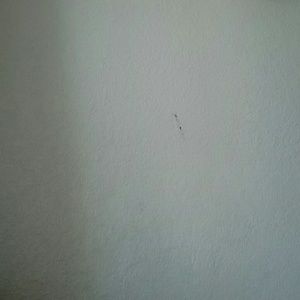 Meet your Posher, Joana