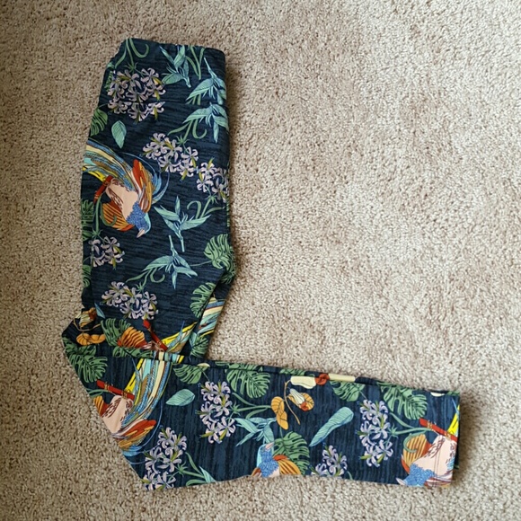 *NEW* Lularoe tropical parrot leggings