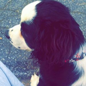 Meet your Posher, Heather