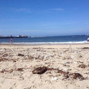 Meet your Posher, Summer