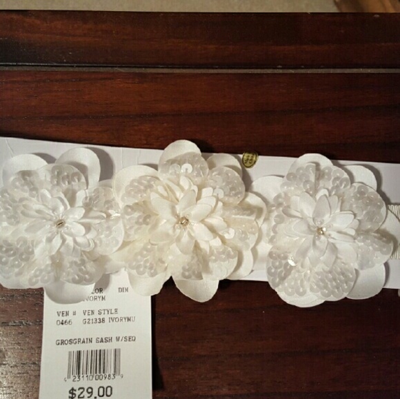 NWT Wedding dress / bridesmaid sash