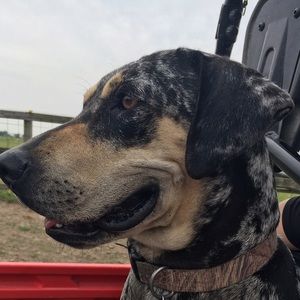 Meet your Posher, Amber