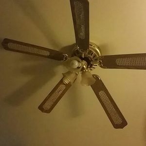 Meet your Posher, Fabiola