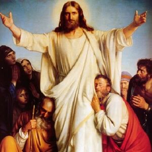 Meet your Posher, Surleanor