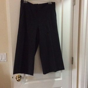 CAbi Gaucho pants