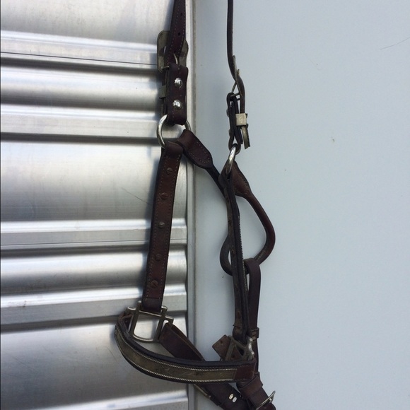 Horse size show halter