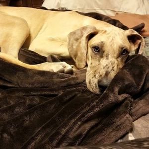 Meet your Posher, Jamie