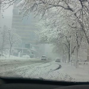 Meet your Posher, Sheanna