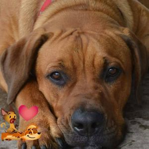 Meet your Posher, Tori