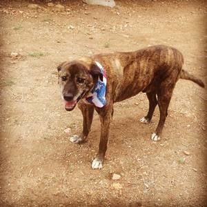 Meet your Posher, Jen