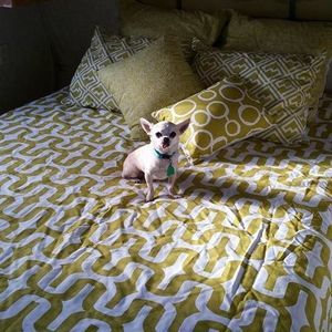 Meet your Posher, Thelma