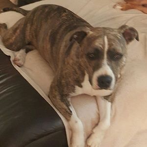 Meet your Posher, Tracey