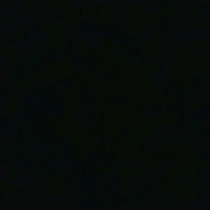 Meet your Posher, Nidia