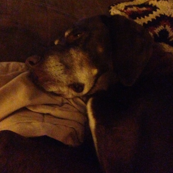 Meet your Posher, Joe - Picture 1 of 1