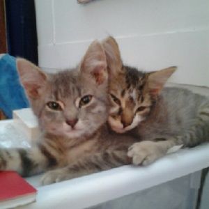 Meet your Posher, Cristin