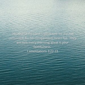 Meet your Posher, Priscilla