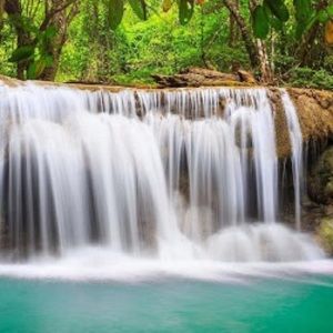 Meet your Posher, Maggie