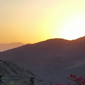 Meet your Posher, Ronald