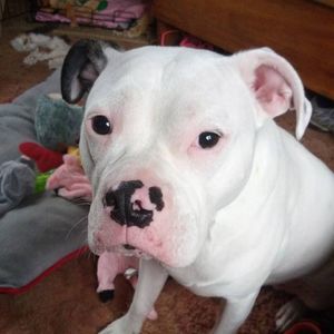 Meet your Posher, Lynn