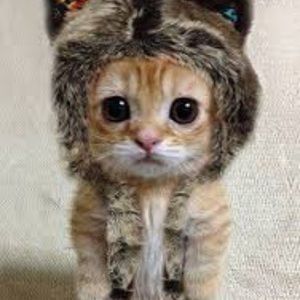 Meet your Posher, Kim