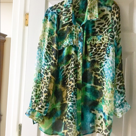 Gorgeous Sheer Printed Button Up Blouse