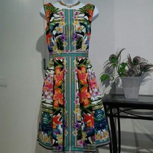 Tropical Maggy London Dress Tropical Maggy London Dress