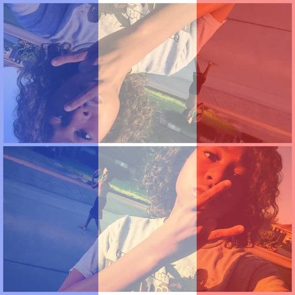 Meet your Posher, Dakota - Picture 1 of 1