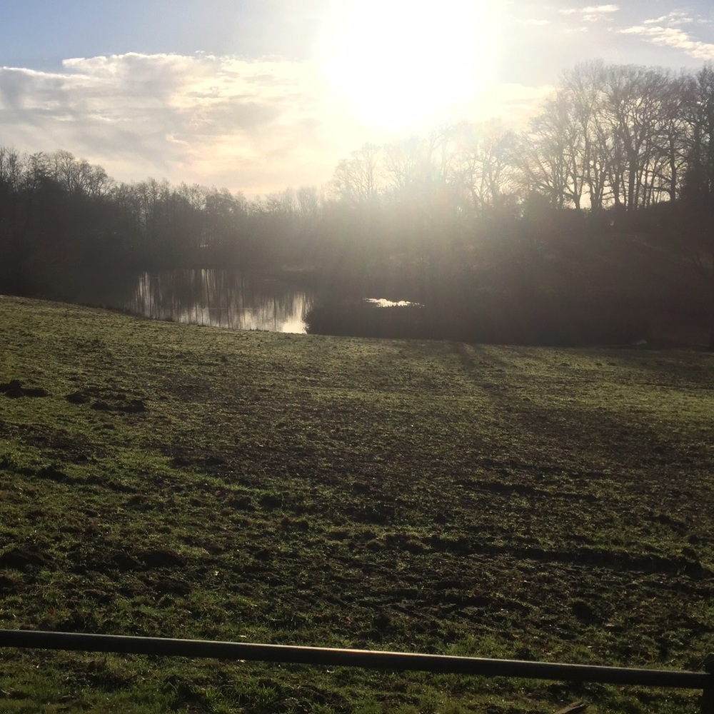 Meet your Posher, Charlotte