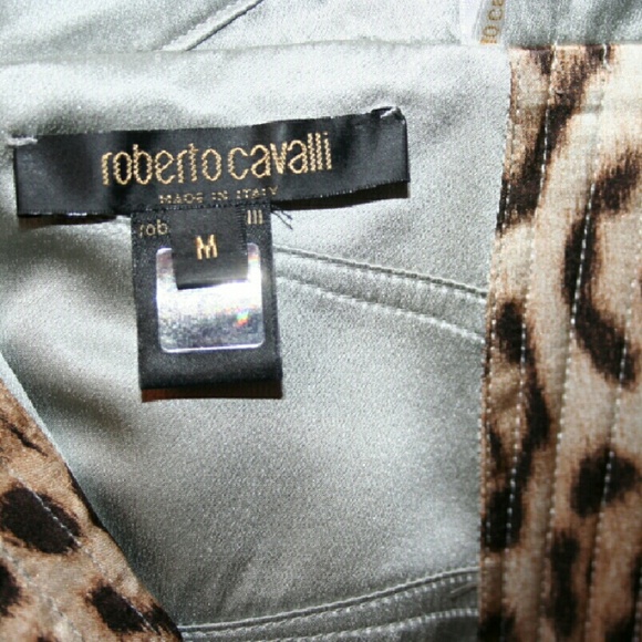 Roberto Cavalli Silver Silk Gown - Picture 4 of 4