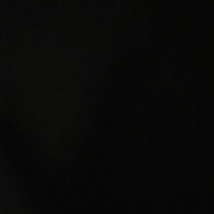 Meet your Posher, Bridgette