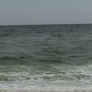 Meet your Posher, Chad