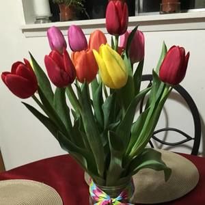 Meet your Posher, Shari