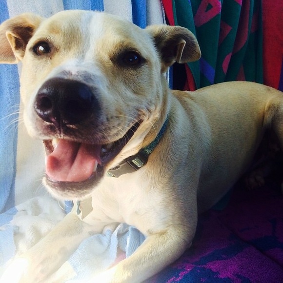 Meet your Posher, Laura