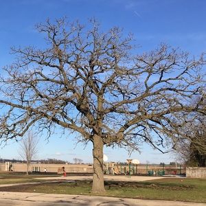 Meet your Posher, Robin