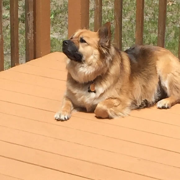 Meet Your Stylist! - Picture 2 of 5