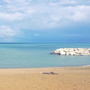 Meet your Posher, Sophia