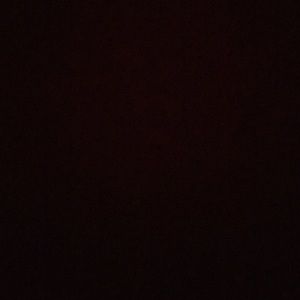 Meet your Posher, Dolores