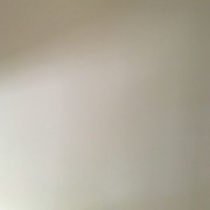 Meet your Posher, Rose