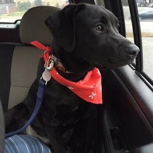 Meet your Posher, Philomena