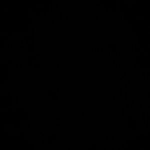 Meet your Posher, Daisy