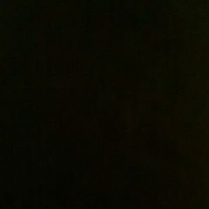 Meet your Posher, Shaquanda