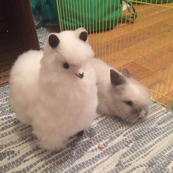 ๐ PLEASE READ ๐ - Picture 3 of 4