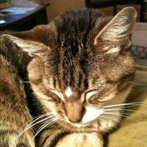 Meet your Posher, Bobby