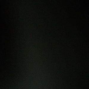 Meet your Posher, Lily