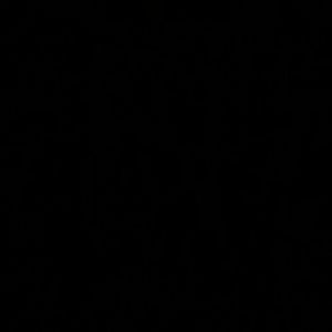 Meet your Posher, Cora