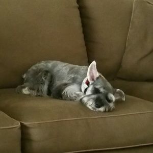 Meet your Posher, Mallisa