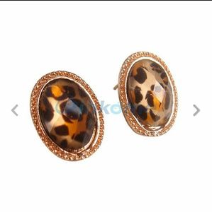 Cheetah Earrings.