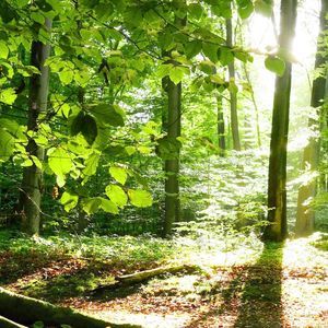 Meet your Posher, Destiny