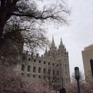 Meet your Posher, Paulette