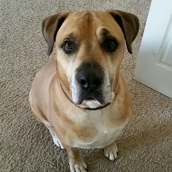 Lupe Fiasco - Picture 2 of 7